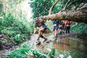 BIB: 
                            <button type="button" onclick="openModal(25515097)" class="btn btn-primary btn-sm float-right btn-popup" data-toggle="modal" data-target=".modal-high-quality">
                        <i class="fas fa-shopping-cart"></i> Add to Cart
                    </button>
                                            <button type="button" onclick="isThisMe(25515097, true)" class="btn btn-success btn-sm float-right btn-popup btn-isme hidden" data-toggle="tooltip" data-placement="bottom" title="นี่คือรูปของคุณใช่ไหม คลิกที่นี่เพื่อเอาเข้าอัลบั้ม">
                        <i class="fas fa-plus"></i> Add to album
                    </button>
                    <button type="button" onclick="isThisMe(25515097, false)" class="btn btn-warning btn-sm float-right btn-popup btn-isnotme hidden">
                        <i class="fas fa-ban"></i> Remove from album
                    </button>